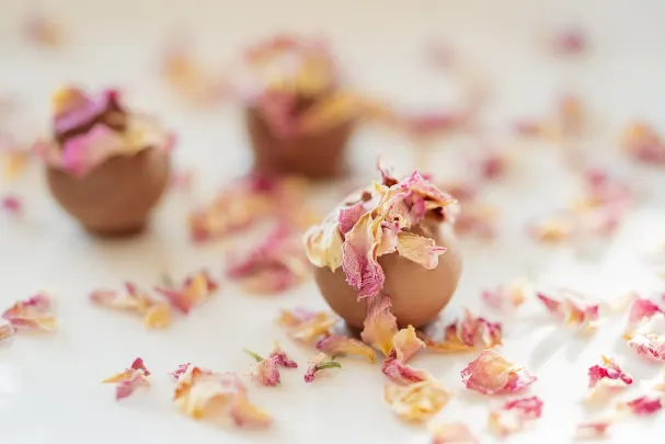 Otto Kasino Android/iOS aplikacija